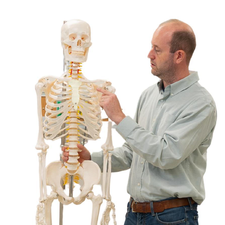 JP Swigart demonstrating skeletal structures