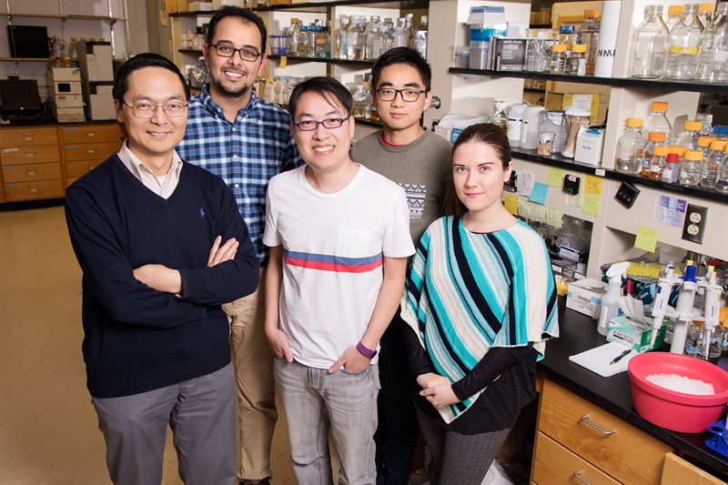 from left: Huimin Zhao, professor of chemical engineering; Mohammad (Sam) Hamedi Rad, graduate student; Zehua Bao, graduate student; Pu Xue, graduate student; and Ipek Tasan, graduate student