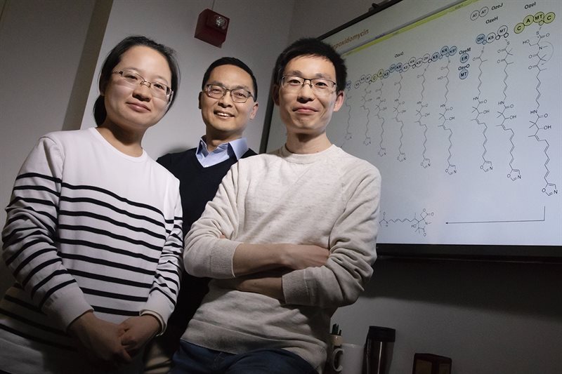 Pictured, from left: postdoctoral researcher Fang Guo, professor Huimin Zhao and postdoctoral researcher Bin Wang. Photo by L. Brian Stauffer
