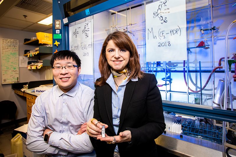 Chemistry professor M. Christina White, right, and graduate student Jinpeng Zhao developed a new catalyst that has the potential to advance the pace and efficiency of drug development. Photo by Fred Zwicky