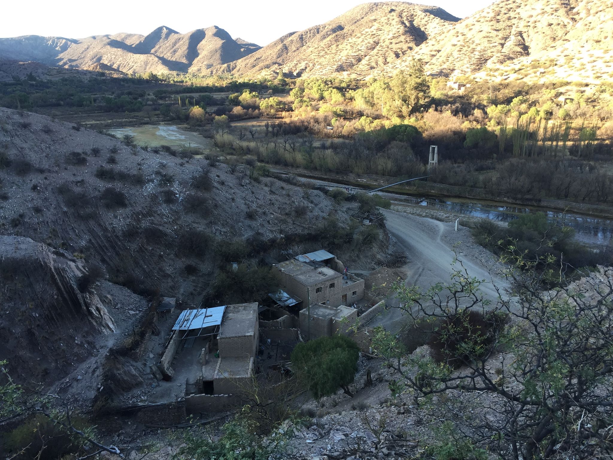 Anant Naik, Carle Illinois College of Medicine, University of Illinois at Urbana-Champaign