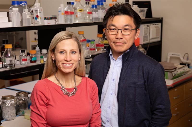 From left: Marni Boppart, professor of kinesiology &amp; community health; and Hyunjoon (Joon) Kong, professor of chemical and biomolecular engineering. Photo by Brian Stauffer.