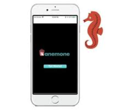 The Anemone Crisis App serves as &amp;#8220;a safe space in your phone,&amp;#8221; with digital tools to manage your own mental health, says creator Ananya Cleetus.Courtesy of Ananya Cleetus