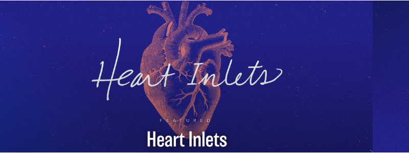 Heart Inlets: Reflections of life and death in the anatomy lab by medical student Valerie Chen
