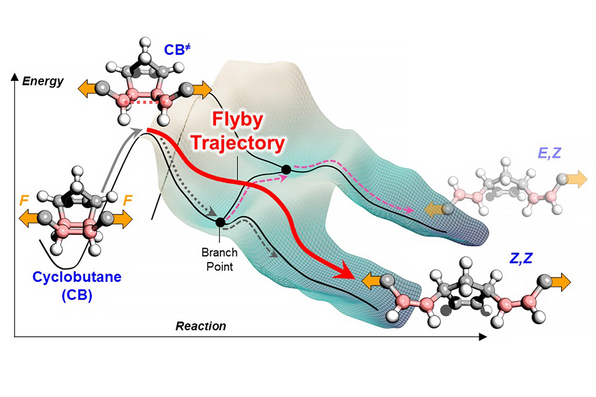 Illustration of the movement of a molecule across the energy landscape