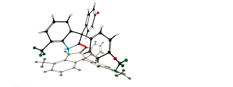 New approach eradicates breast cancer in mice