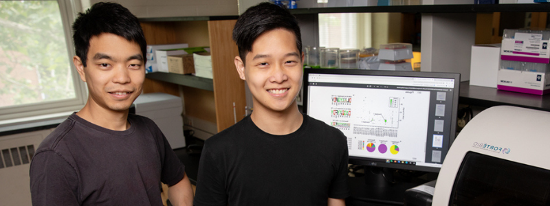 People infected with the original strain of the virus that causes COVID-19 produced a consistent antibody response. However, those antibodies donâ€™t bind well to new variants, Illinois graduate student Timothy Tan (left) and Carle Illinois College of Medicine Professor Nicholas Wu found.
Photo by L. Brian Stauffer