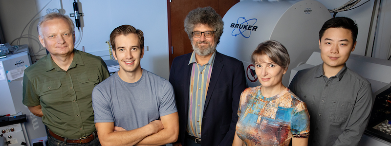 Chemists from the University of Illinois Urbana-Champaign are testing the limits of analytical chemistry by rapidly detecting subtle changes in cellular chemistry in an effort to boost early disease intervention. From left, professor Stanislav Rubakhin, molecular and integrative physiology graduate research assistant Dan Castro, professor Jonathan Sweedler, professor Elena Romanova and bioengineering graduate research assistant Yuxuan Richard Xie.

Photo by L. Brian Stauffer

