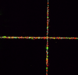 A microscopy image of the viewfinder grid with embedded nanodiamonds.