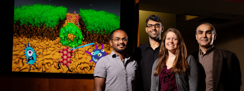 From left: Nandan Haloi, graduate research associate; Archit Vasan, graduate research associate Emily Geddes, graduate student; and Esad Tajkhorshid, professor of biochemistry
Photo by Brian Stauffer
