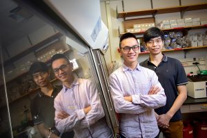 From left, Ph.D. student Yiquan Wang, biochemistry professor Nicholas Wu and their colleagues developed a method to differentiate antibody targets based on their genetic sequences.