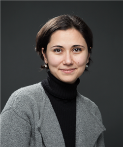 <em>Zeynep Madak-Erdogan, Carle Illinois College of Medicine Health Innovation Professor</em>