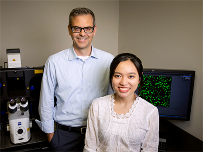 University of Illinois chemistry professor Martin D. Burke and graduate student Stella Ekaputri were part of a team that found a small molecule, hinokitiol, ferries iron out of liver cells lacking the protein that normally does the job and restores hemoglobin and red blood cell production.  Photo by Michelle Hassel