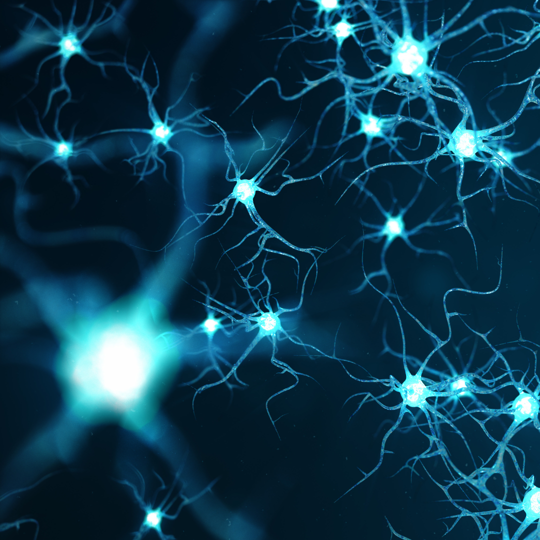 New Study Carle Illinois Neuroscience Challenge Lab Prepares Med