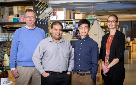 From left, Carle Illinois College of Medicine and chemistry professor Wilfred van der Donk, chemistry professor Angad Mehta, and CI MED and UIUC biochemistry professors Nicholas Wu and  Beth Marie Stadtmueller.