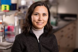 <em>New research led by CI MED, food science, and human nutrition professor Zeynep Madak-Erdogan and her colleagues found that estrogen receptor-positive breast cancer presents differing metabolic signatures in the blood of African American women and non-Hispanic white women. &nbsp;Madak-Erdogan is a faculty member at the University of Illinois Urbana-Champaign, and her partners on the project included scientists at the University of Illinois Chicago, Northeastern University, and Northwestern University.&nbsp;Photo by L. Brian Stauffer</em>