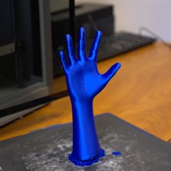 &amp;amp;amp;lt;em&amp;amp;amp;gt;3D printing can be used to create anatomical models and to prototype prosthetics.&amp;amp;amp;lt;/em&amp;amp;amp;gt;
