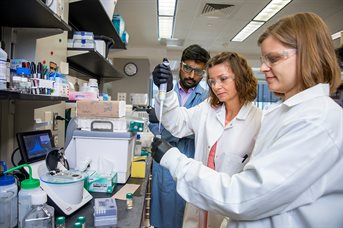 &lt;em&gt;The researchers put promising candidates through extensive testing for efficacy and toxicity, both in vitro and in vivo. Pictured, from left: Arun Maji, Agnieszka Lewandowska and Corinne Soutar.&lt;br&gt;Photo by Michelle Hassel&lt;br&gt;&lt;/em&gt;
