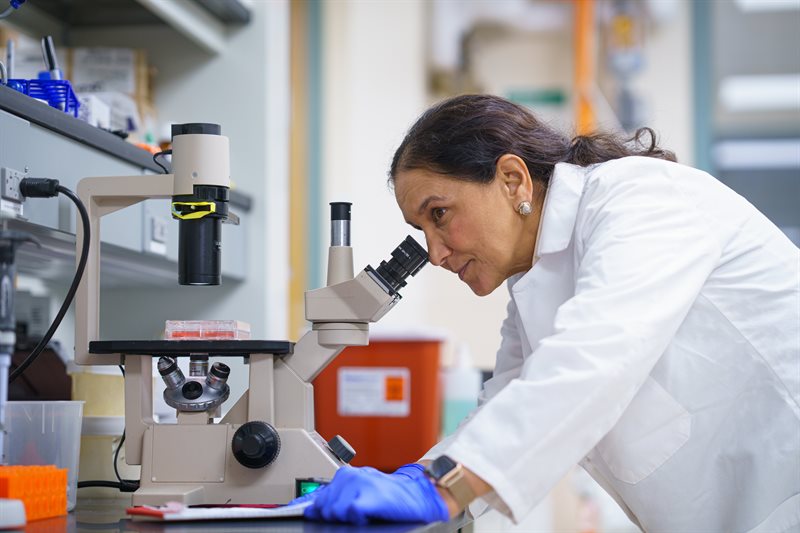 Chitra Subramanian in her research lab at the Beckman Institute. By studying lipid metabolism in head and neck cancers, Subramanianâ€™s team is identifying specific biomarkers that could make diagnosis possible through simple blood tests.