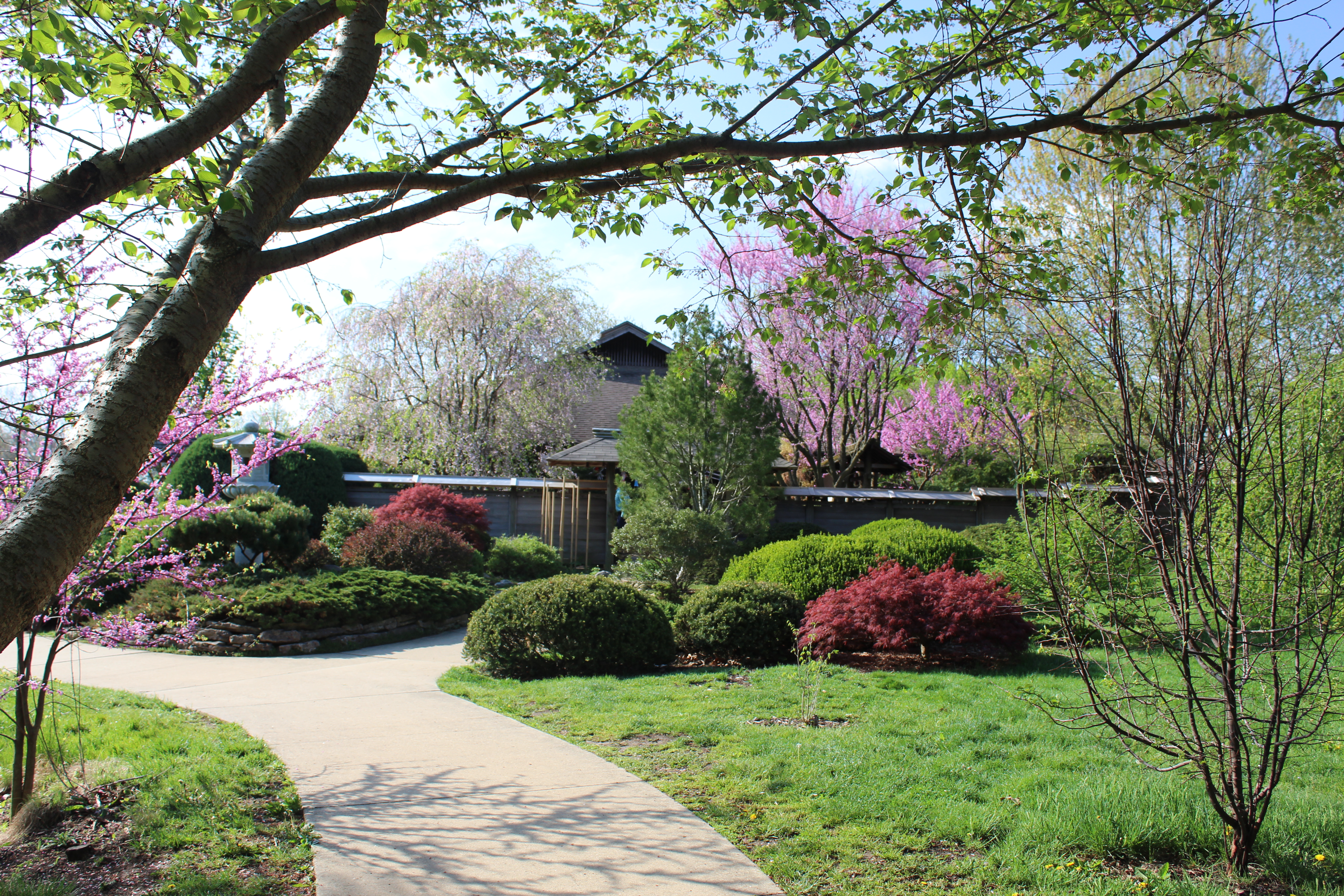 Japan House on the campus of the University of Illinois in Urbana, Illinois.