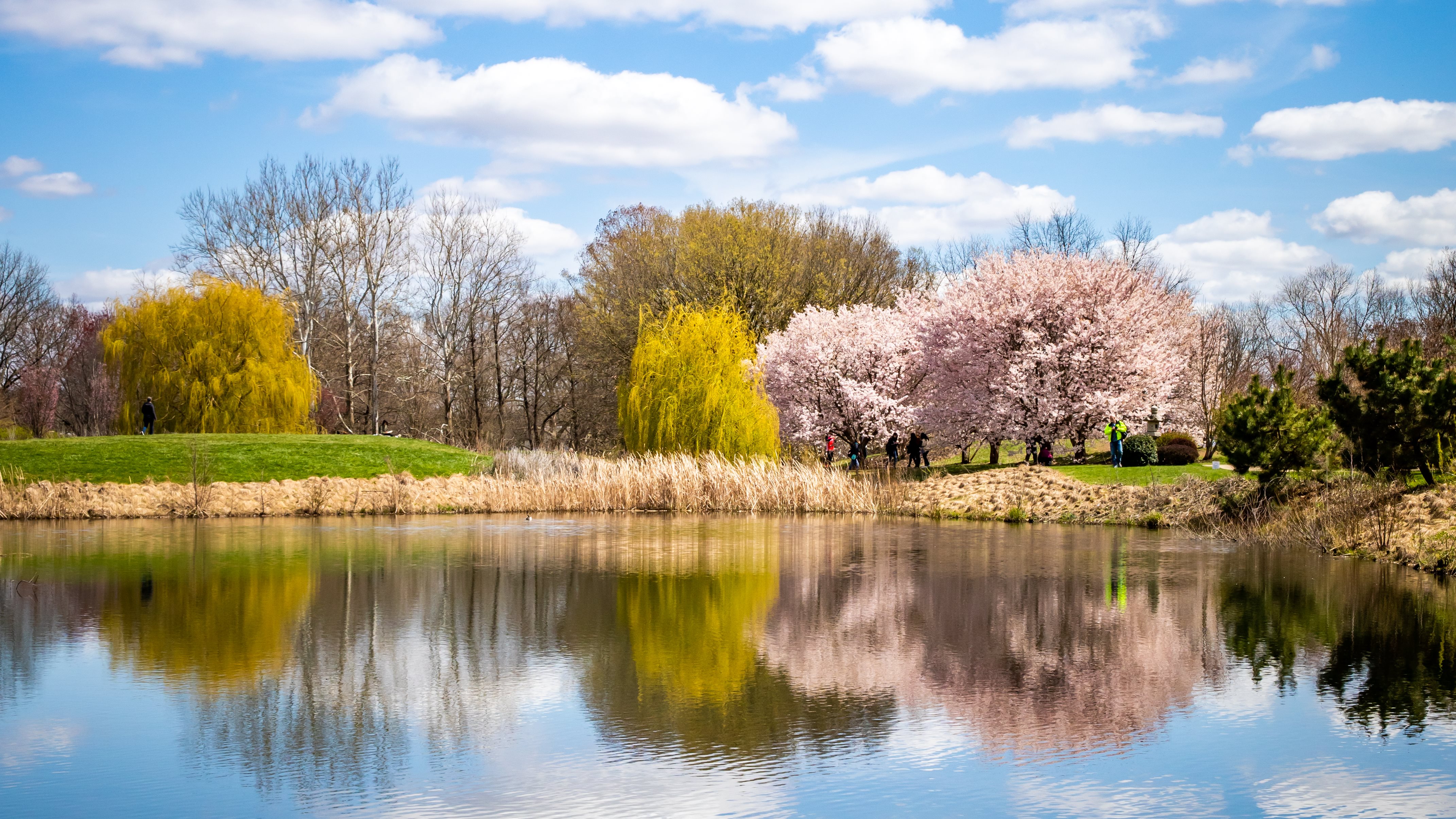 The gardens at the Japan House on the campus of the University of Illinois in Urbana, Illinois. 